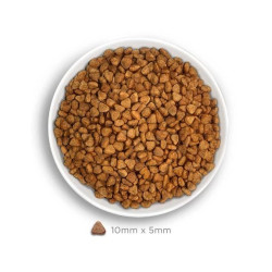 Amanova kuivtoit steriliseeritud kassile valge kalaga 1.5kg