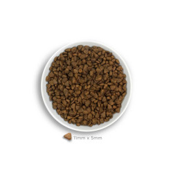 Amanova Digestive seedimist soodustav kuivtoit väikesele koerale jäneselihaga 2kg