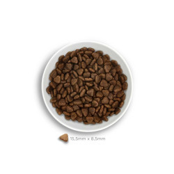 Amanova Digestive seedimist soodustav kuivtoit koerale jäneselihaga