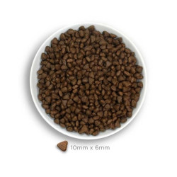 Amanova Puppy Sensitive kuivtoit tundliku nahaga kutsikatele 2kg lõhega