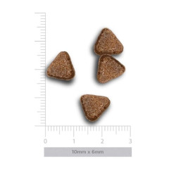 Amanova Puppy Sensitive kuivtoit tundliku nahaga kutsikatele 2kg lõhega