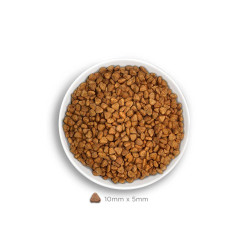 Amanova Medium kuivtoit keskmist kasvu koertele 2kg kanaga