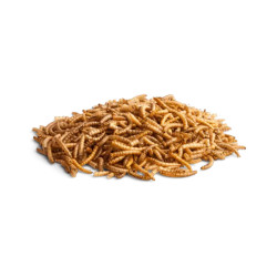 BUNNY ENJOY Nature WORM Wonder 60g