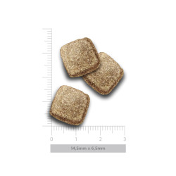 Amanova Obesity kuivtoit ülekaalulisele koerale kalkuniga