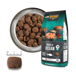 Belcando Adult Grain-Free Ocean teraviljavaba kuivtoit kalaga täiskasvanud koertele - Bosse.ee