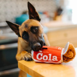 P.L.A.Y. Snack Attack Cola – mänguasi koertele - Bosse