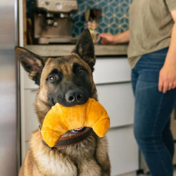 P.L.A.Y. Barking Brunch croissant – mänguasi koertele - Bosse