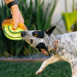 P.L.A.Y. Barking Brunch avokaadovõileib – mänguasi koertele - Bosse