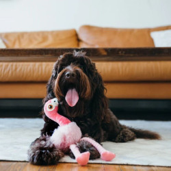 P.L.A.Y. Fetching Flock flamingo – mänguasi koertele - Bosse
