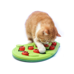 Catstages Buggin' Out Puzzle mänguasi kassidele - Bosse