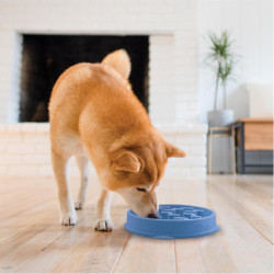 Outward Hound Fun Feeder Notch aeglase söötmise kauss sinine L - Bosse