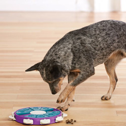 Nina Ottosson Dog Twister arendav maiusemänguasi lilla - Bosse