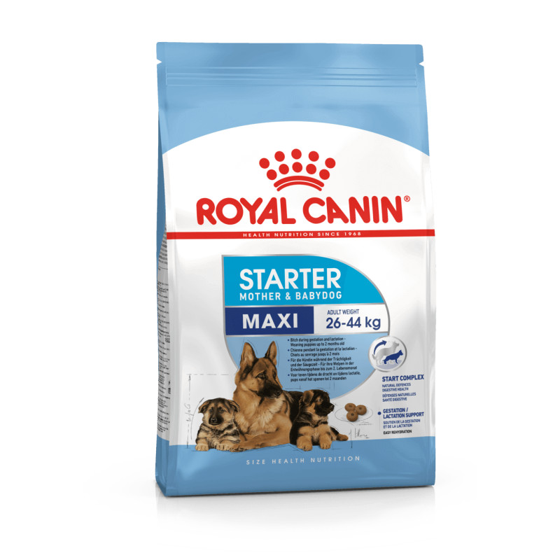Royal Canin Maxi Starter kuivtoit koertele