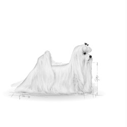 Royal Canin Maltese Adult kuivtoit koertele