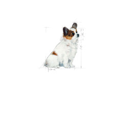 Royal Canin X-Small Puppy kuivtoit koertele