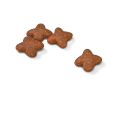 Royal Canin Mini Adult kuivtoit koertele #2