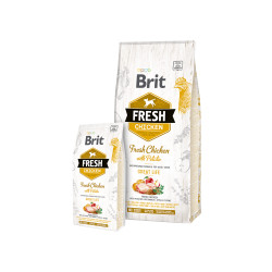 Brit Fresh Fish with Pumpkin Adult Large sausas maistas šunims