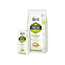 Brit Fresh Fish with Pumpkin Adult Large sausas maistas šunims