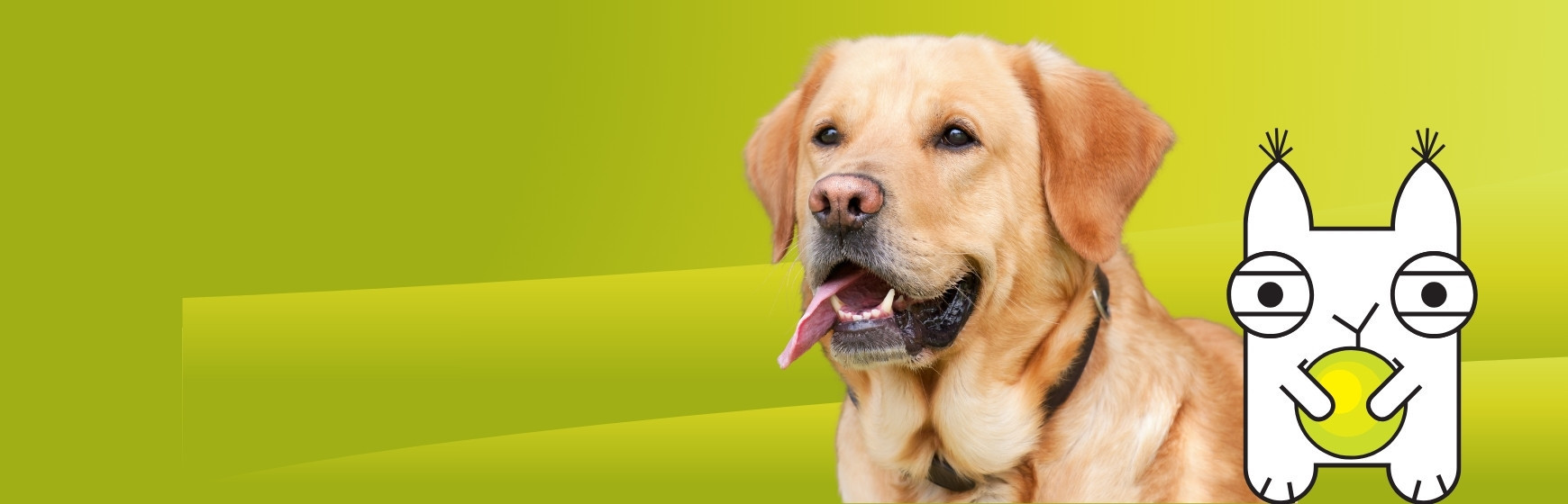 Pidulikud mänguasjad